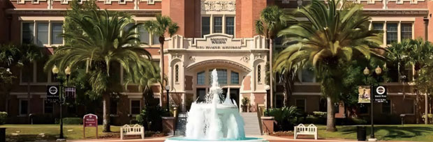 1+3本科转学项目