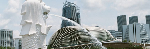 3+1本科转学项目